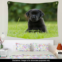 Labrador Puppy Wall Art 67173723