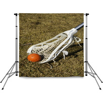 Lacrosse Ball And Stick Backdrops 3924008