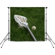 Lacrosse Stick And Ball In Grass Backdrops 3507855