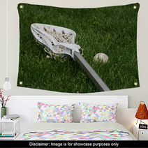 Lacrosse Stick And Ball In Grass Wall Art 3507855