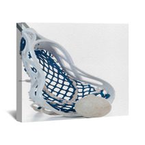 Lacrosse Stick With Ball Wall Art 35581132