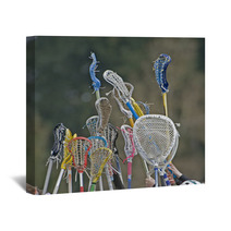 Lacrosse Sticks To The Sky Wall Art 15183808