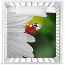 Ladybird On Camomile Flower Nursery Decor 49669317
