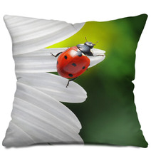 Ladybird On Camomile Flower Pillows 49669317