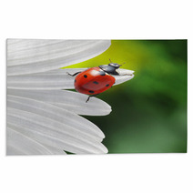 Ladybird On Camomile Flower Rugs 49669317