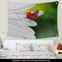 Ladybird On Camomile Flower Wall Art 49669317