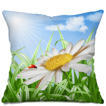 Ladybird On Daisy Flower Vector Pillows 52534164