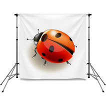 Ladybird. Vector Illustration. Backdrops 52370067