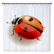 Ladybird. Vector Illustration. Bath Decor 52370067