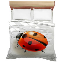 Ladybird. Vector Illustration. Bedding 52370067