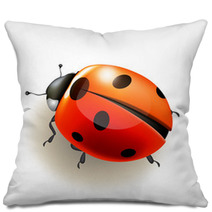 Ladybird. Vector Illustration. Pillows 52370067