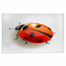 Ladybird. Vector Illustration. Rugs 52370067