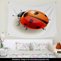 Ladybird. Vector Illustration. Wall Art 52370067