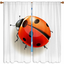 Ladybird. Vector Illustration. Window Curtains 52370067