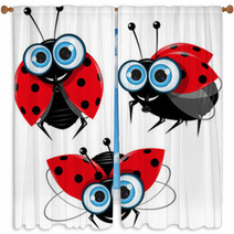 Ladybirds Window Curtains 47618558