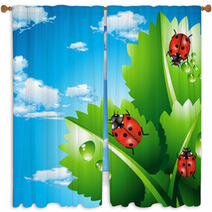 Ladybirds Window Curtains 60765008