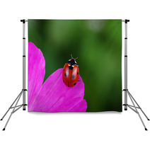 Ladybug And Flower Backdrops 64365049