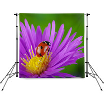 Ladybug And Flower Backdrops 64365089