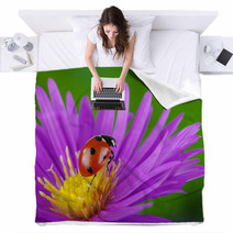 Ladybug And Flower Blankets 64365089