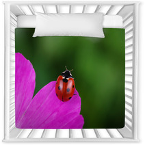 Ladybug And Flower Nursery Decor 64365049