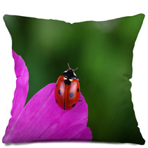 Ladybug And Flower Pillows 64365049