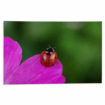 Ladybug And Flower Rugs 64365049
