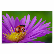 Ladybug And Flower Rugs 64365089