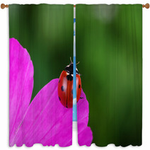 Ladybug And Flower Window Curtains 64365049