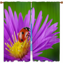 Ladybug And Flower Window Curtains 64365089