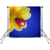 Ladybug Backdrops 66333000
