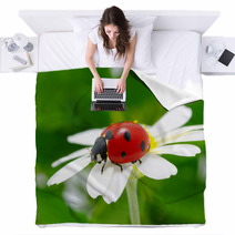 Ladybug Blankets 51650752