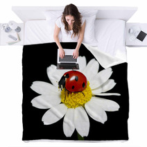 Ladybug Blankets 59980878