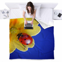 Ladybug Blankets 66333000