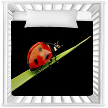 Ladybug Isolated On Black Nursery Decor 51365335