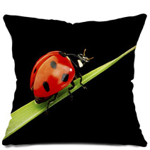Ladybug Isolated On Black Pillows 51365335