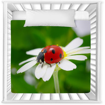 Ladybug Nursery Decor 51650752