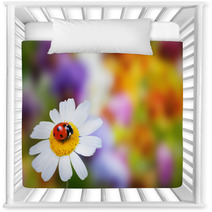 Ladybug On Daisy Flower Nursery Decor 67152044
