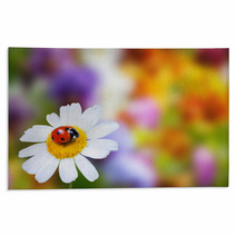 Ladybug On Daisy Flower Rugs 67152044