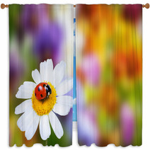 Ladybug On Daisy Flower Window Curtains 67152044
