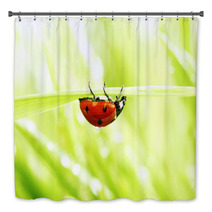 Ladybug On Grass Bath Decor 52036108