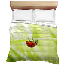 Ladybug On Grass Bedding 52036108