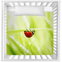 Ladybug On Grass Nursery Decor 52036108