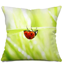 Ladybug On Grass Pillows 52036108