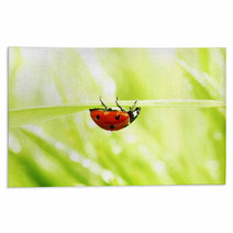 Ladybug On Grass Rugs 52036108