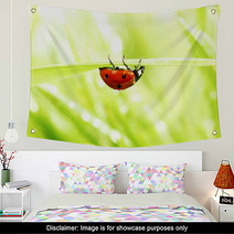Ladybug On Grass Wall Art 52036108