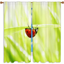 Ladybug On Grass Window Curtains 52036108