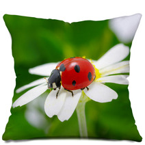 Ladybug Pillows 51650752