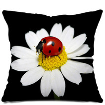 Ladybug Pillows 59980878