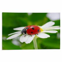 Ladybug Rugs 51650752