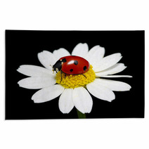 Ladybug Rugs 59980878